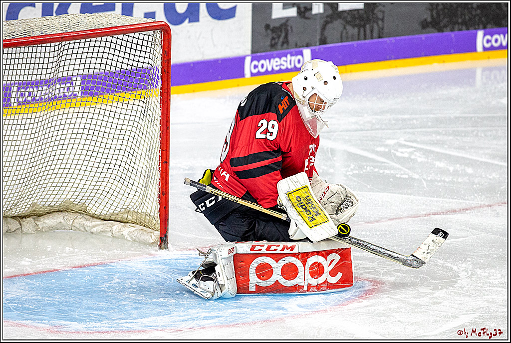DEL; Koelner Haie - Iserlohn Roosters, 04.01.2019